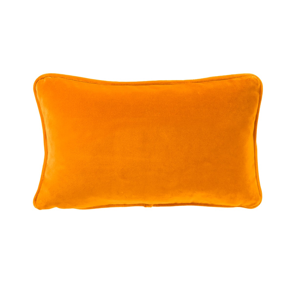 Featured image for “Coussin Divan”